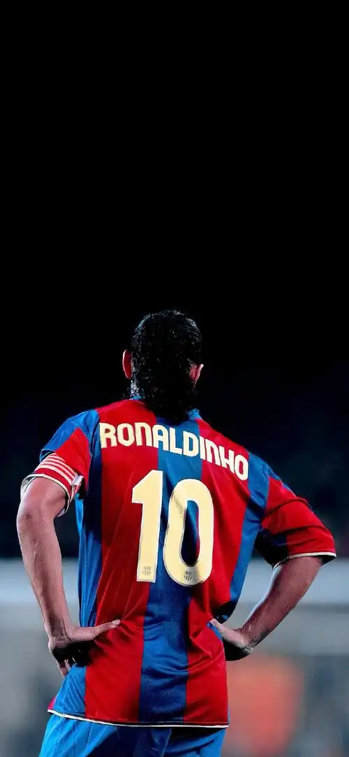 米伦科维奇 米伦科维奇