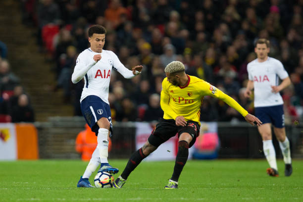 明了自己的 明了自己的